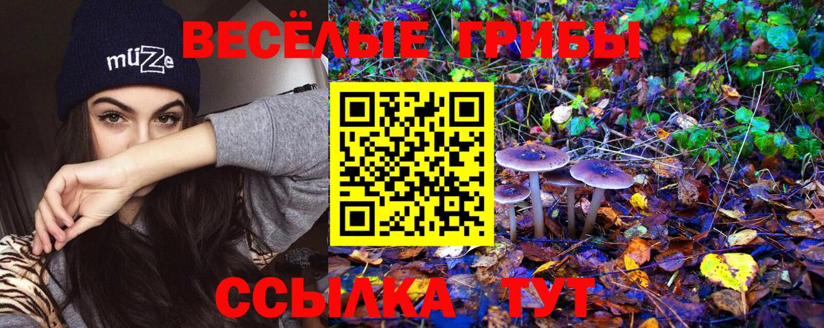 Псилоцибиновые грибы Magic Shrooms Барнаул