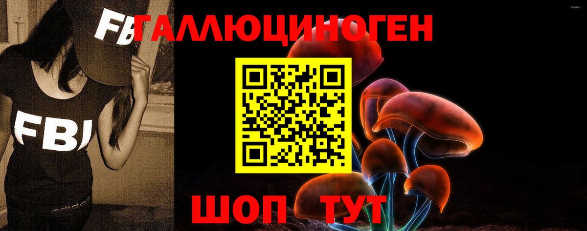 Барнаул  Псилоцибиновые грибы Psilocybine cubensis  Вход с VPN 